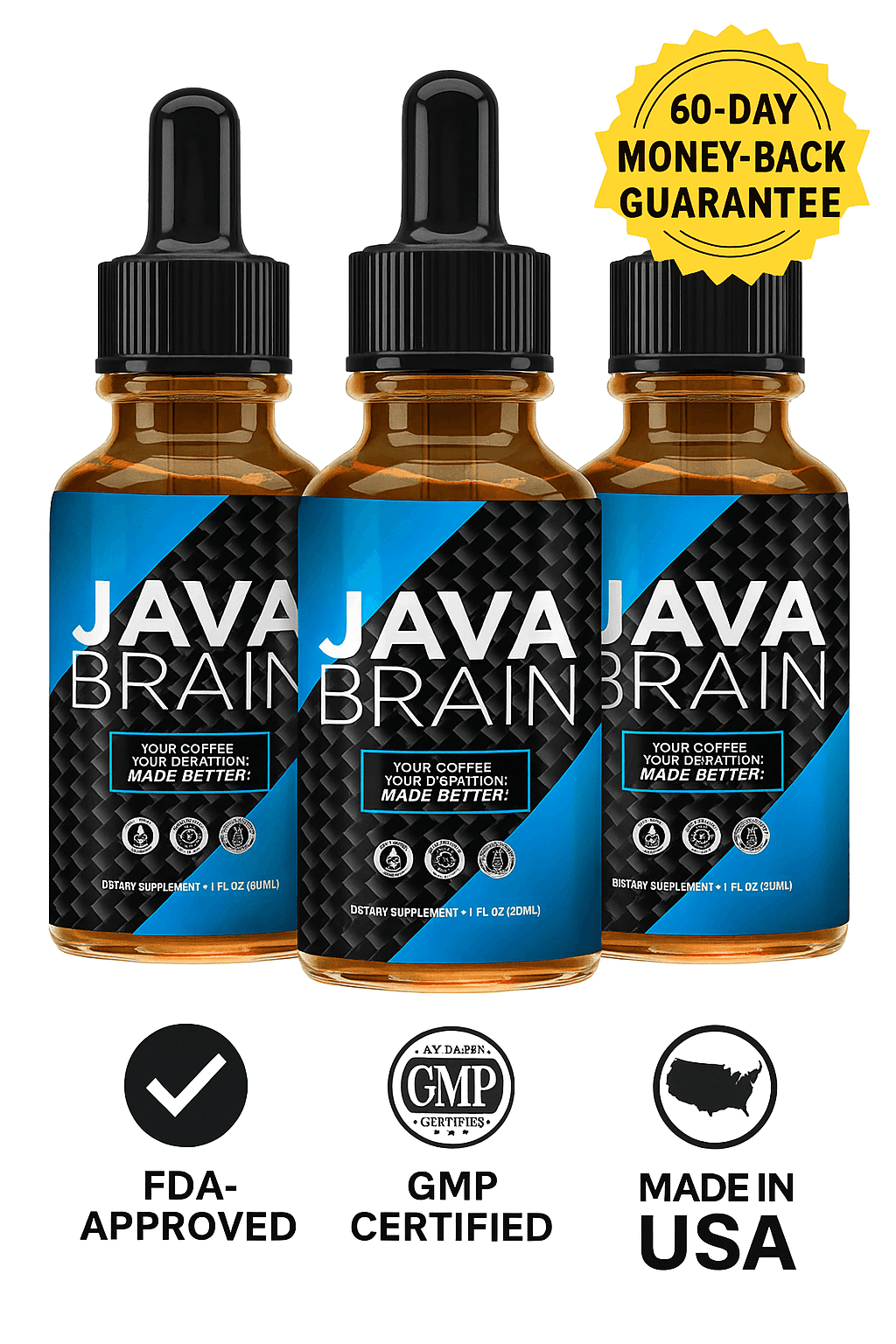 Java Brain